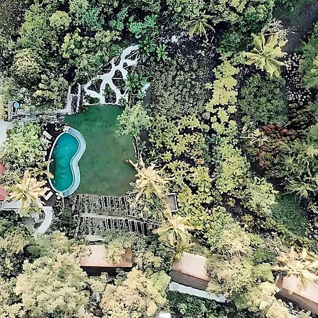 The Mesare Jungle Resort