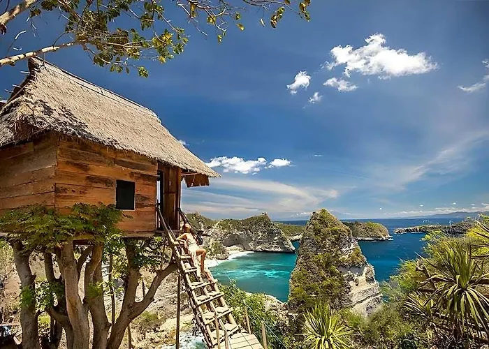 The Mesare Jungle Resort 4*
