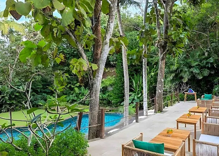 The Mesare Jungle Resort