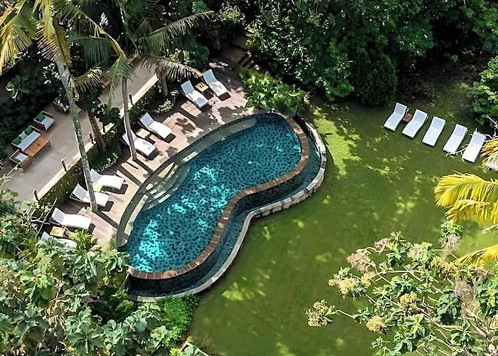 Resort The Mesare Jungle Resort