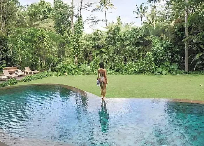 The Mesare Jungle Resort Resort 4*
