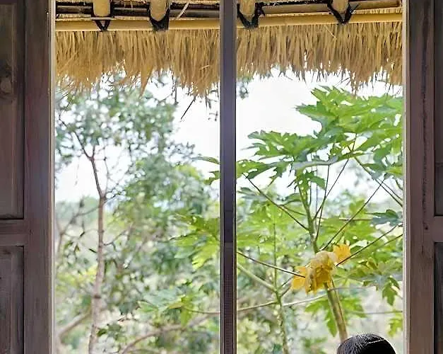Resort The Mesare Jungle Resort 4*